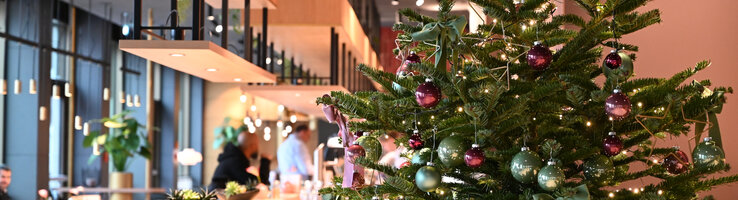 Weihnachten im ATLANTIC Hotel Heidelberg Ein Weihnachtsbaum in der Lobby des ATLANTIC Hotel Heidelberg