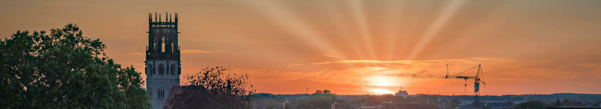 Sunset over Münster with church tower, trees and a crane in the foreground.