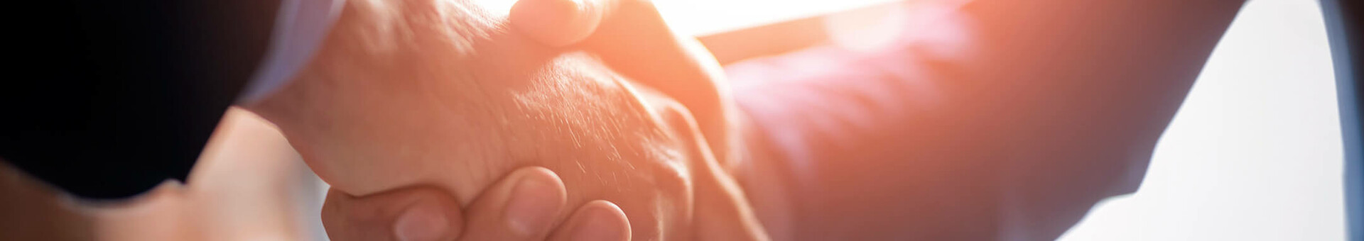 Two people in suits shake hands in the sunlight.