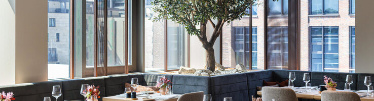 The 4FRANK restaurant, with its floor-to-ceiling windows and a tree inside the restaurant.