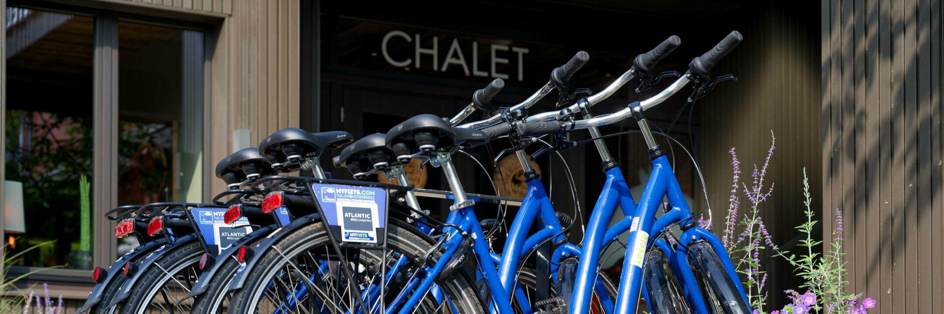 Six blue bicycles are parked in front of a chalet entrance, surrounded by flowering plants.