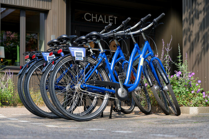 Sechs blaue Fahrräder stehen vor einem Chalet-Eingang, umgeben von blühenden Pflanzen.