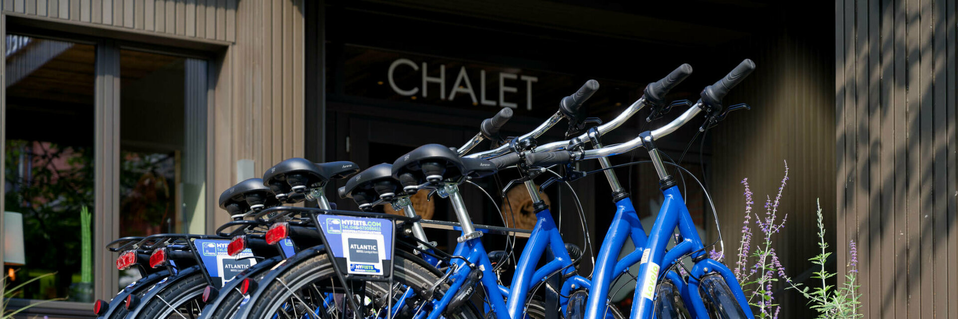 Sechs blaue Fahrräder stehen vor einem Chalet-Eingang, umgeben von blühenden Pflanzen.