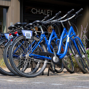ATLANTIC Hotel Landgut Horn Bremen Fahrradverleih Sechs blaue Fahrräder stehen vor einem Chalet-Eingang, umgeben von blühenden Pflanzen.