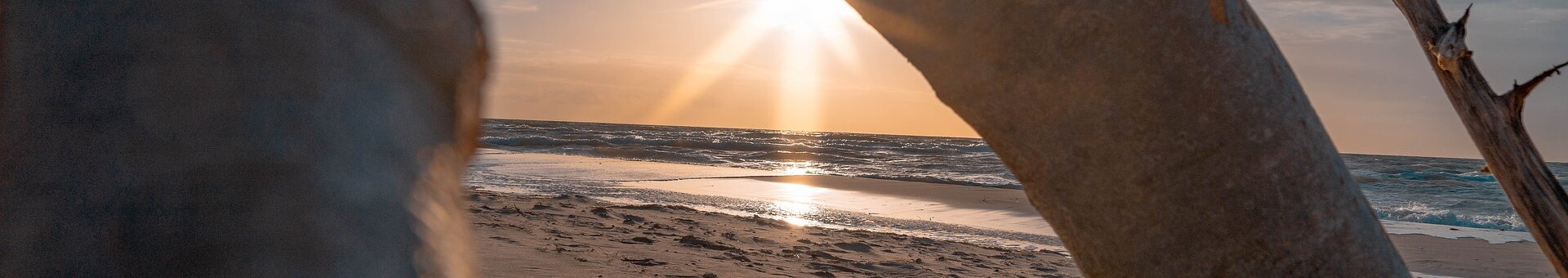 Sonnenuntergang am Strand von Travemünde, mit Blick durch Treibholz auf das Meer und den sandigen Uferbereich.
