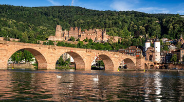Alte Brücke in Heidelberg mit Schloss und grünen Hügeln im Hintergrund, zwei Schwäne schwimmen im Fluss.