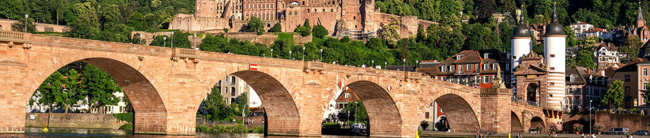 ATLANTIC Hotel Heidelberg Stadtführungen Alte Brücke in Heidelberg mit Schloss und grünen Hügeln im Hintergrund, zwei Schwäne schwimmen im Fluss.
