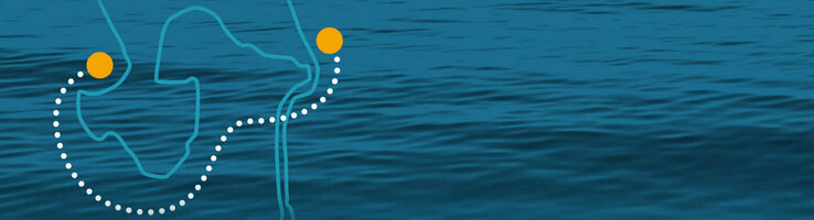 Blaue Meeresoberfläche mit weißen Punkten und gelben Kreisen, die eine abstrakte Linie bilden.