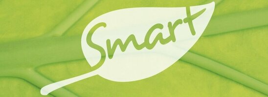 Großaufnahme eines grünen Blattes mit Adern, darauf ein weißes Blatt-Symbol mit dem Wort "Smart".