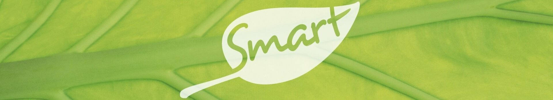 Großaufnahme eines grünen Blattes mit Adern, darauf ein weißes Blatt-Symbol mit dem Wort "Smart".