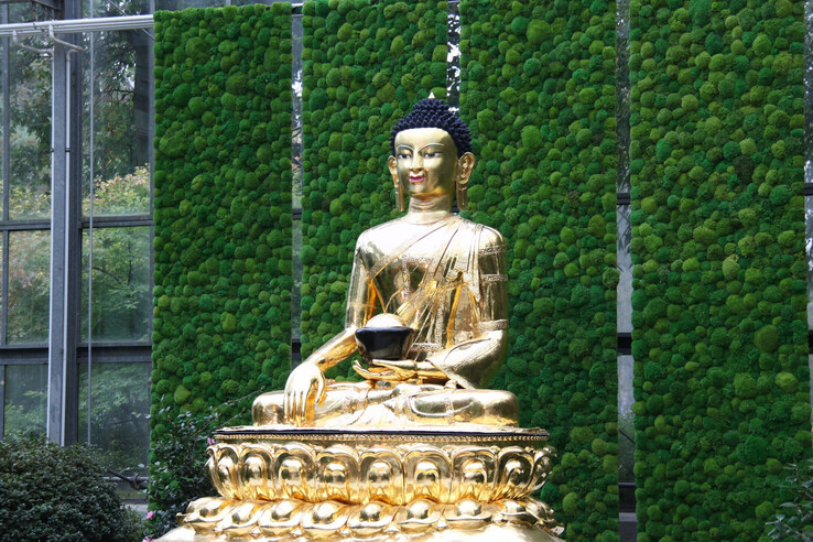 Goldene Buddha-Statue vor grüner Mooswand, in einem modernen Innenraum.