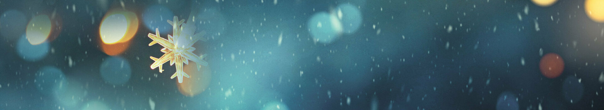 A string of fairy lights and snowflakes against a dark blue background.