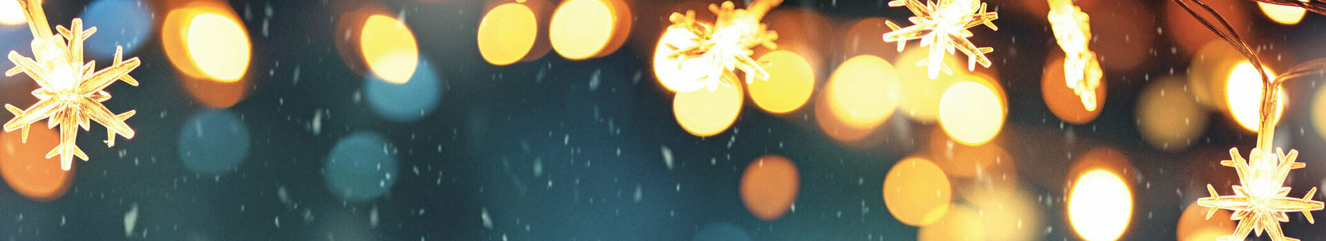 Eine Lichterkette und Schneeflocken vor einem dunkelblauen Hintergrund.