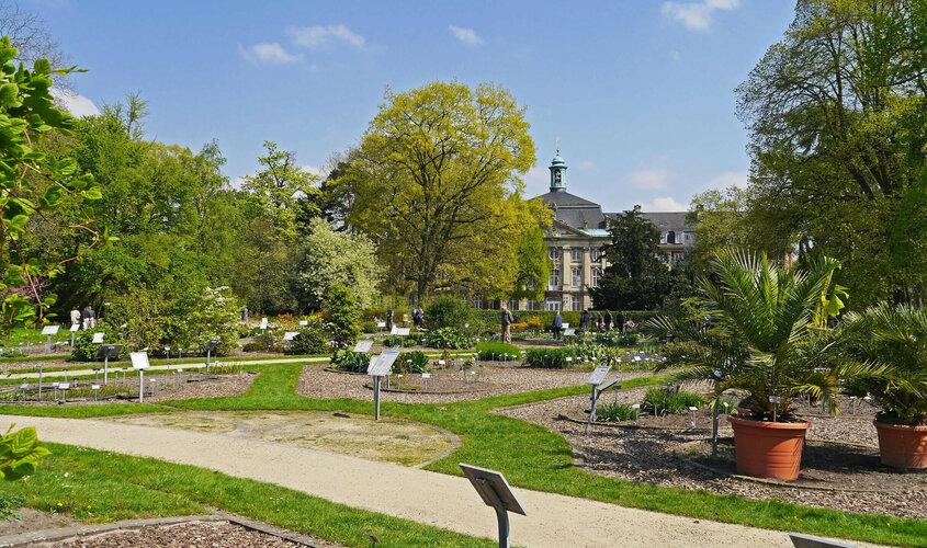 Botanischer Garten in Münster | ATLANTIC Hotel Münster