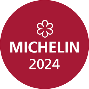 Logo Michelin 2024